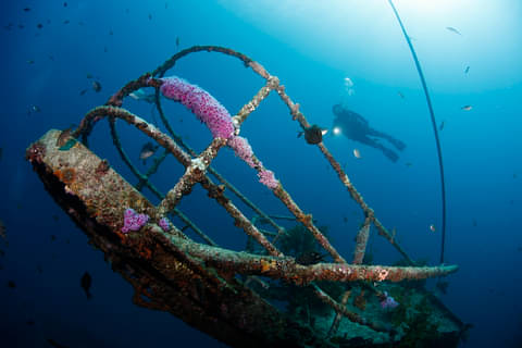 Canterbury Wreck and Reef Dive