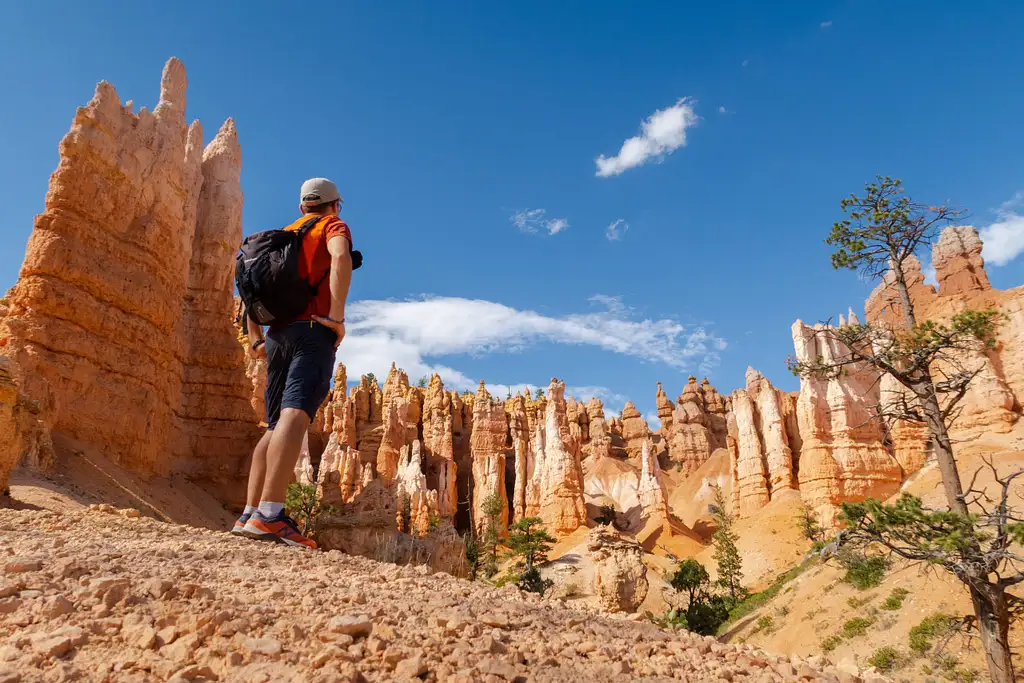 3 Day National Parks Mini Explorer | From Las Vegas