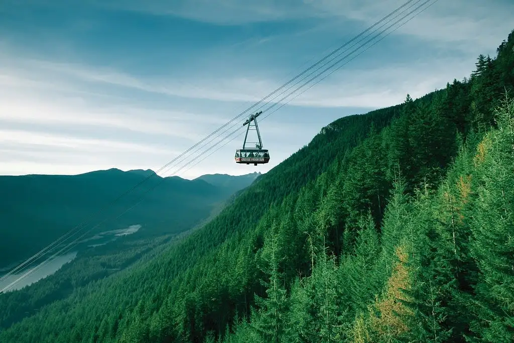 Vancouver City and Capilano Suspension Bridge Tour with Lunch | Small group