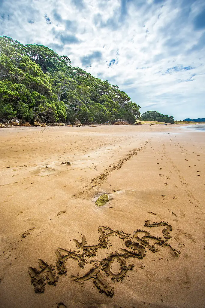 7 Day Coasts & Culture Tour | Auckland to Wellington | Haka Tours