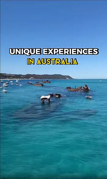 Would you spend the day exploring Moreton Island? 