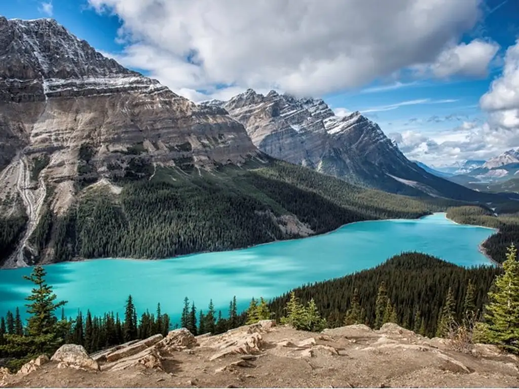 Columbia Icefield Full-day Adventure Tour | From Calgary