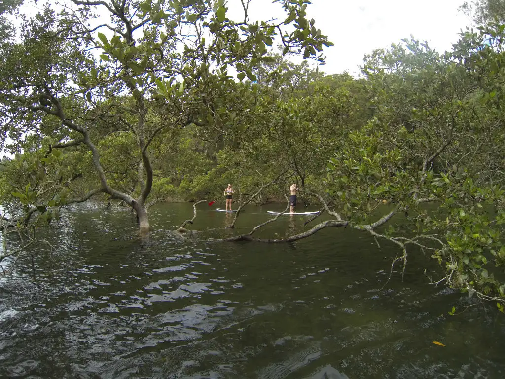 Basin Campground Stand Up Paddle Safari