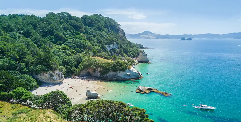 10 Day Hihi Tour | Auckland to Wellington | Stray