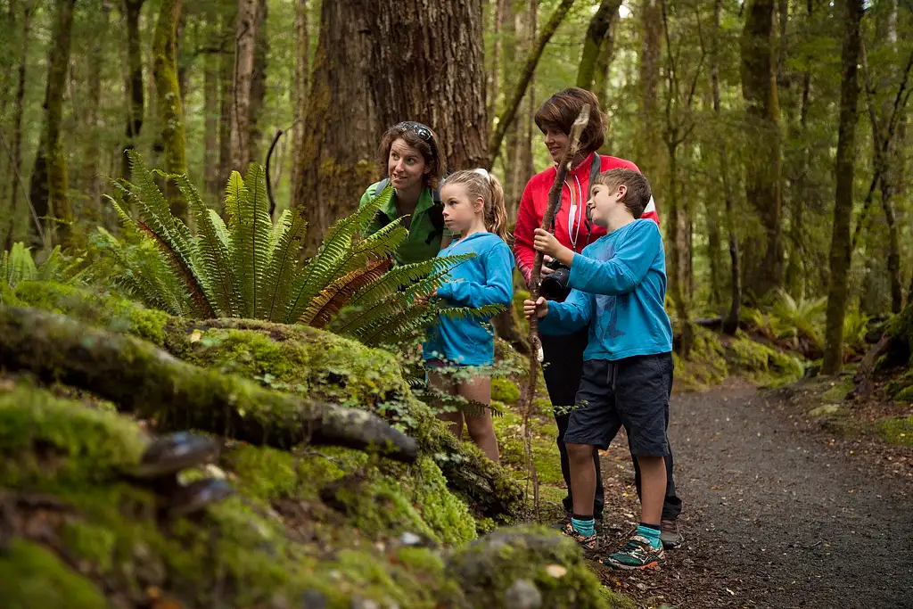 Kepler Track, Jet Boat and Hike | From Te Anau