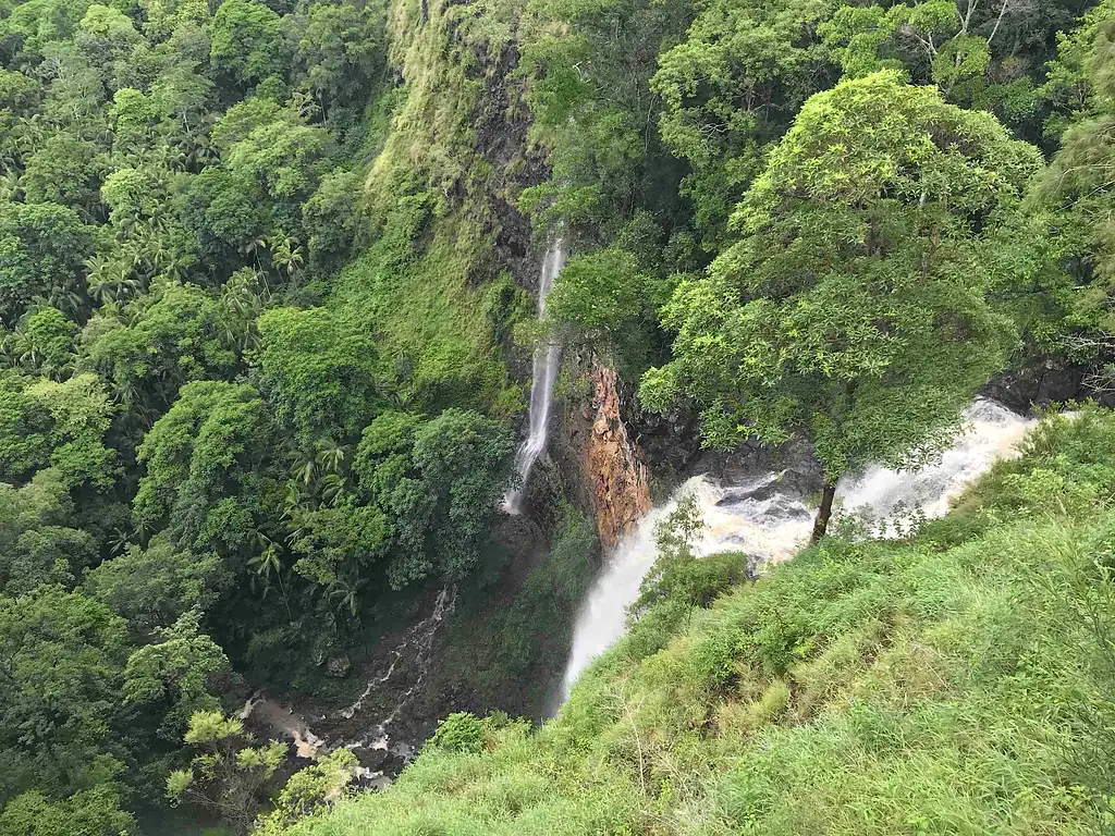 Maleny and Montville with Gourmet lunch & Wine Tasting - Day Tour