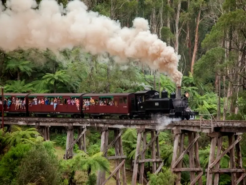 Healesville Sanctuary & Puffing Billy Steam Train 1 Day