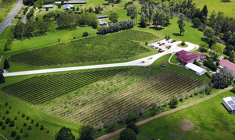 Gold Coast Hot Air Balloon Ride & Full Day Premium Winery Tour  deals