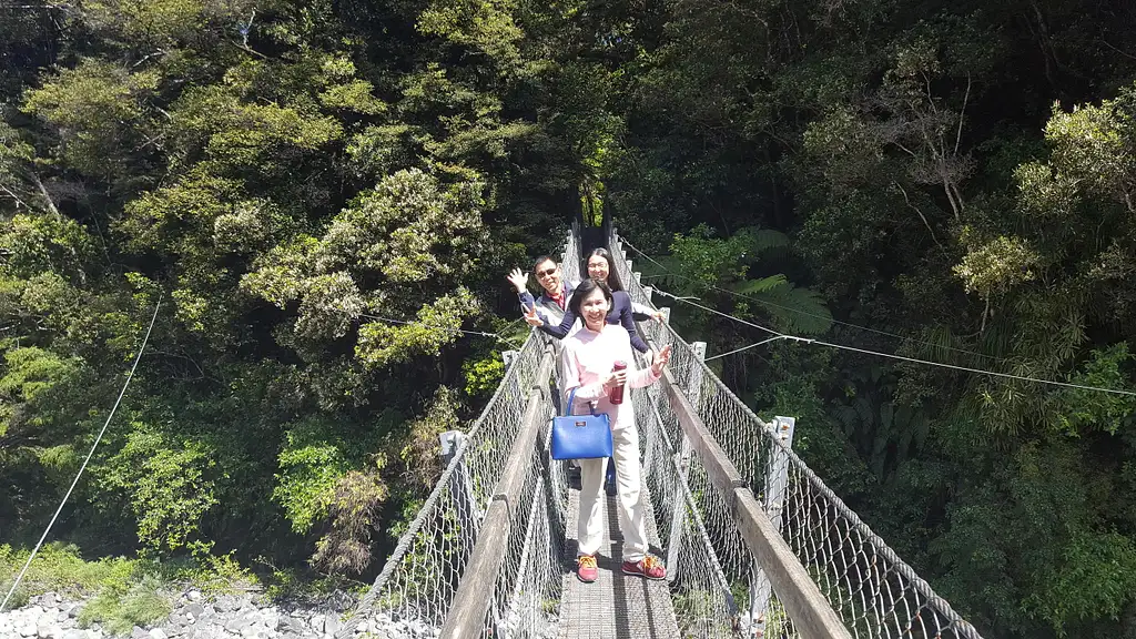 Wine & Wild Coast Tour | Wellington