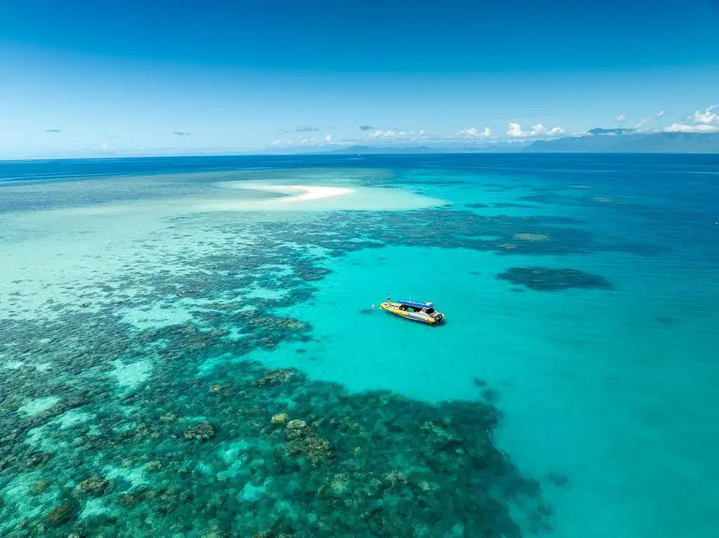 Ocean Safari Great Barrier Reef Adventure | Half Day (Morning or afternoon)