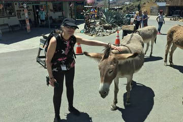 route 66 arizona tours