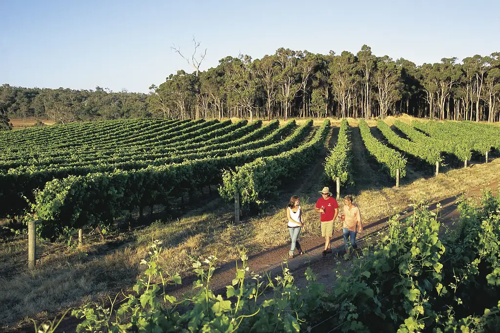 Full Day Margaret River Tour From Perth | Lunch Included