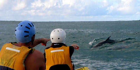 Byron-bay-kayak-with-dolphin