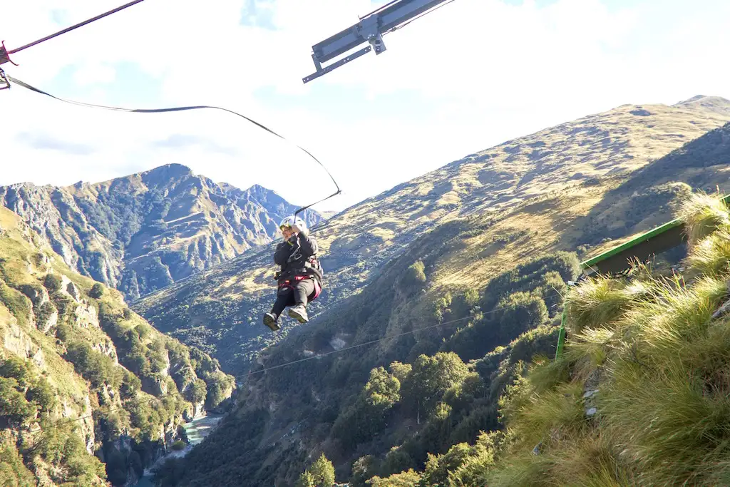 Shotover Canyon Fox