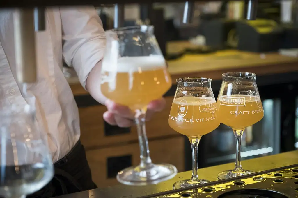 Vienna craft beer tasting