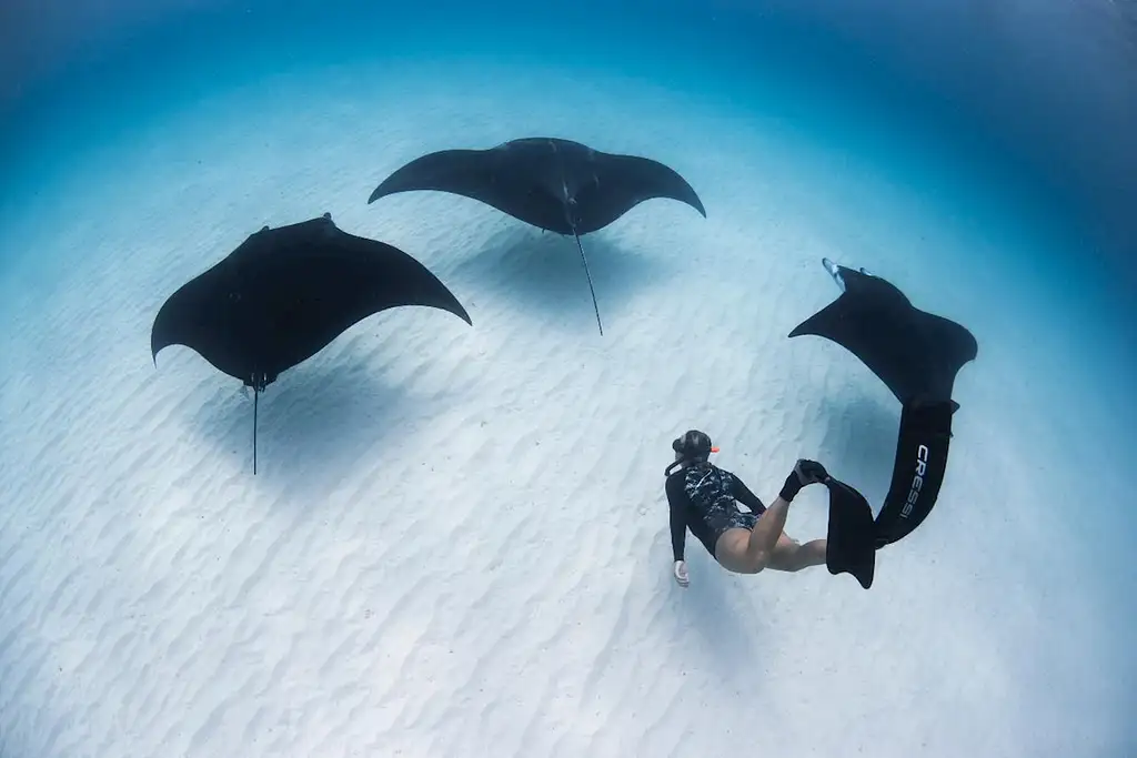 5 Day Island Adventurer | Awesome Adventures Fiji
