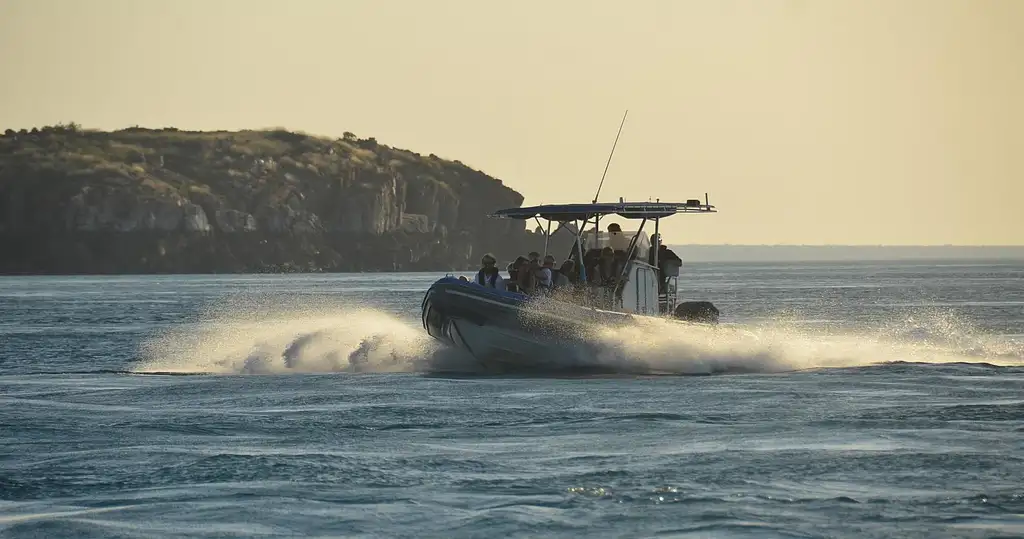 Giant Tides Sea Safari | From Cygnet Bay