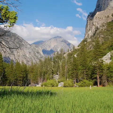 Yosemite National Park Tour specials