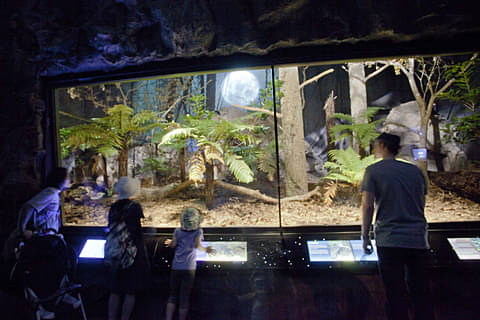 auckland zoo day pass
