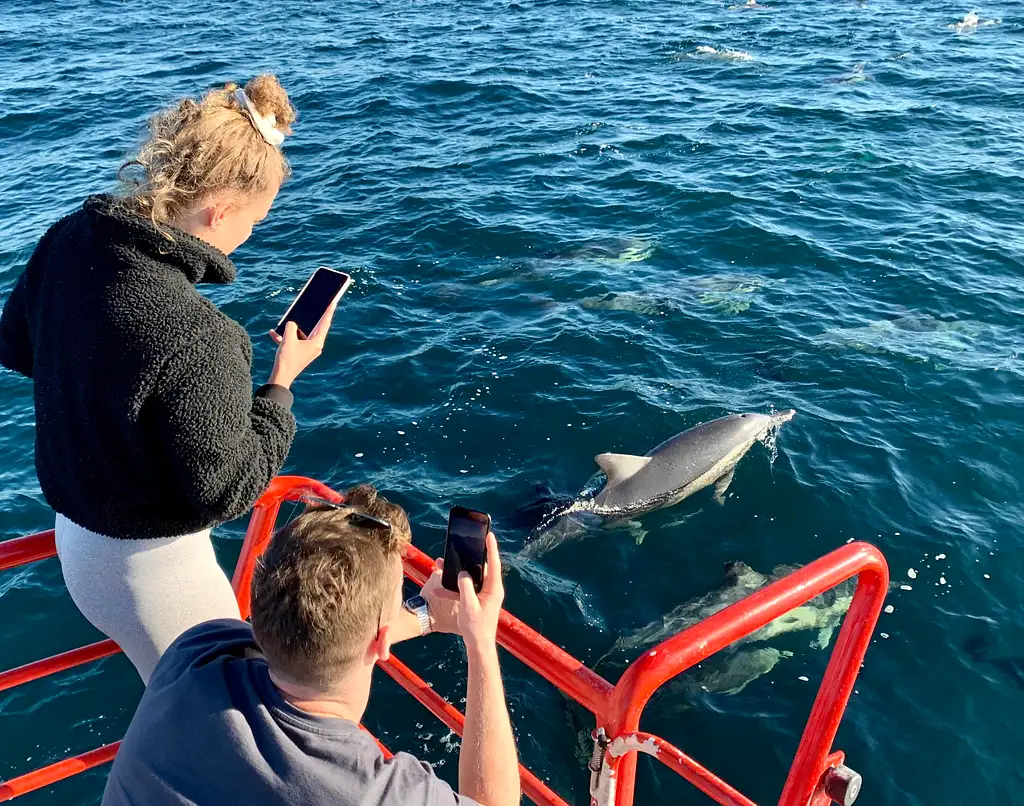 Port Stephens Island Snorkelling Adventure