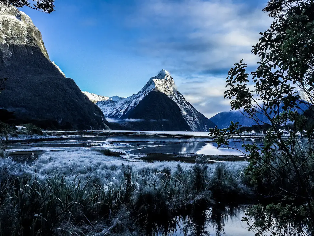 Milford Sound Fly | Cruise | Fly
