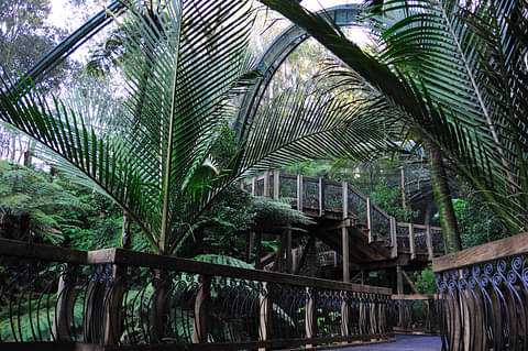 cultural nz zoo