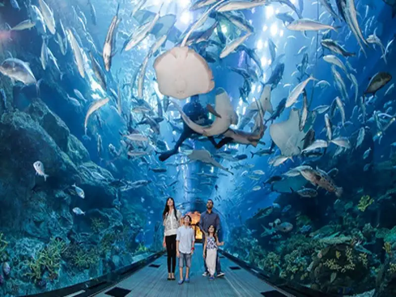 Burj Khalifa & Dubai Aquarium Package