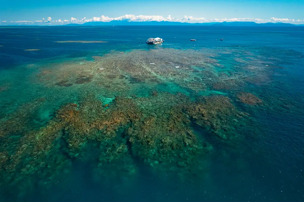 Cairns to Great Barrier Reef Cruise | Reef Magic Cruises