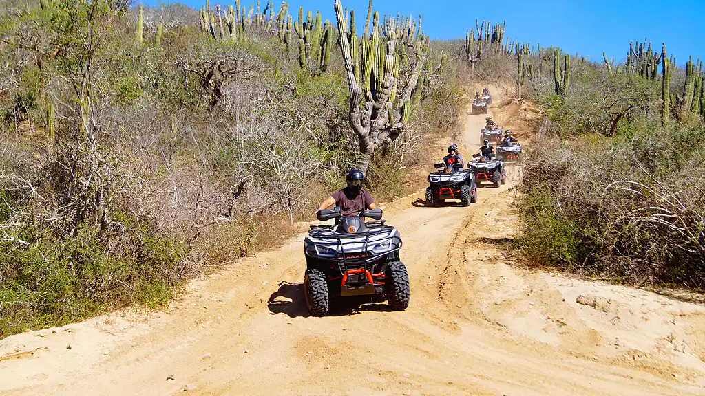 Cabo ATV Baja Discovery Tour