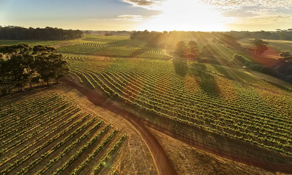 Margaret River Leeuwin Estate Wine & Lunch Experience