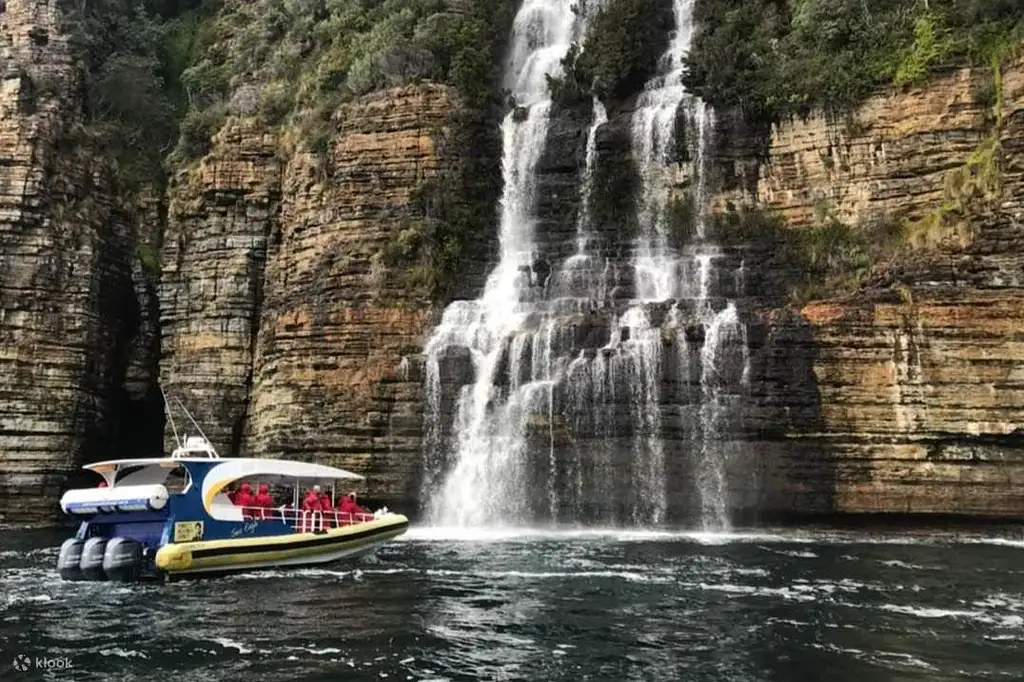 Tasman Island Wilderness Cruise | From Hobart