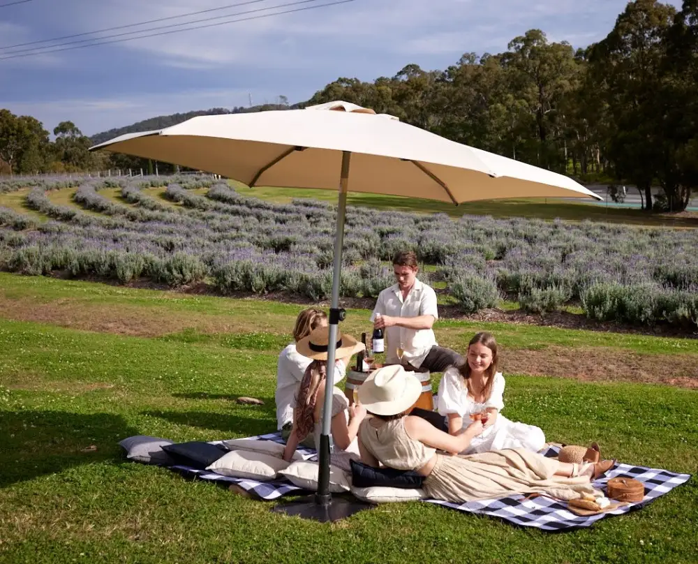 Ultimate Sirromet Winery Experience | Picnic in the Paddock