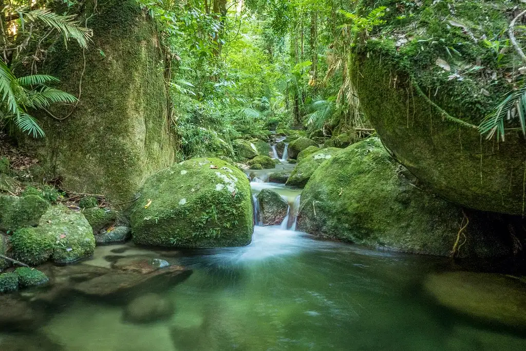 Mossman Gorge Adventure Day