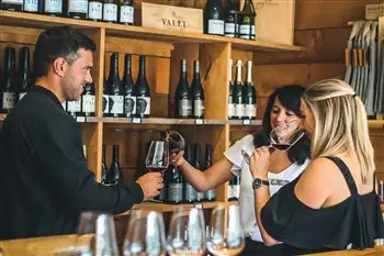 Central Otago Wine Tour from Queenstown - Includes 4 Vineyards, Lunch & Wine