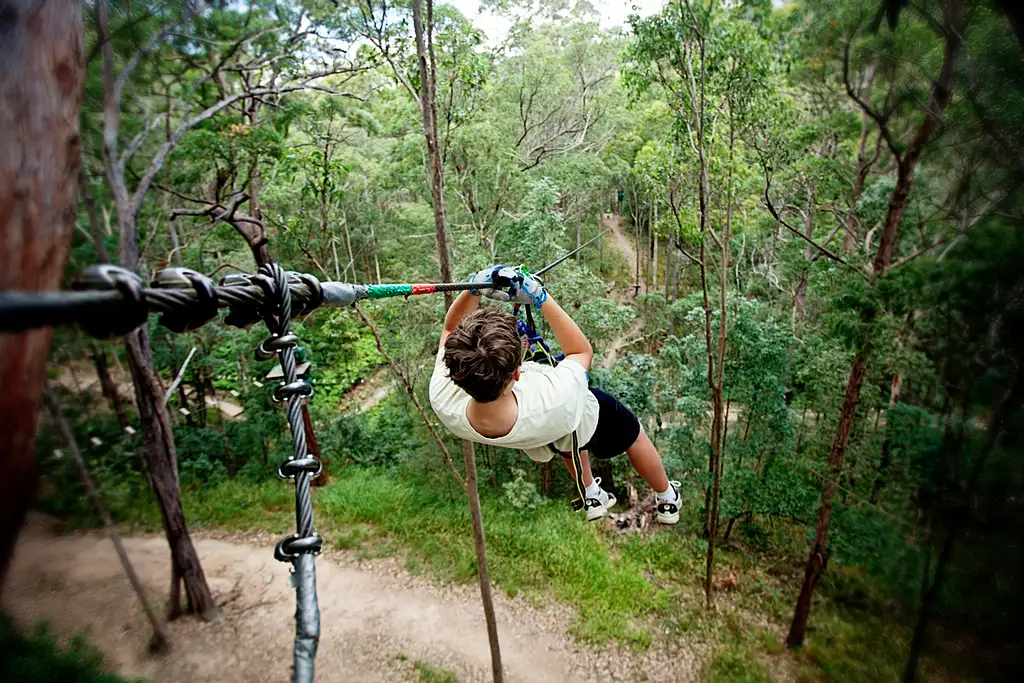 TreeTop Challenge Tambourine Mountain Adventure Park