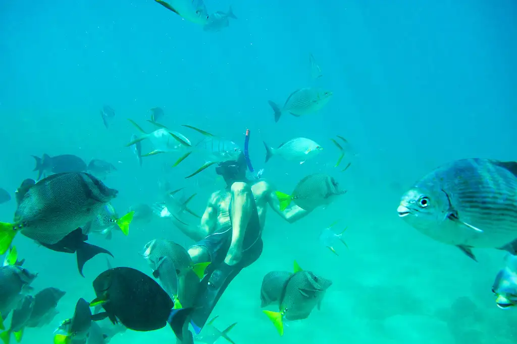 Glass Bottom Kayak/Snorkel Santa Maria & Chileno Bay