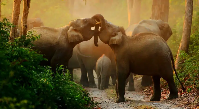16 Days In Incredible India