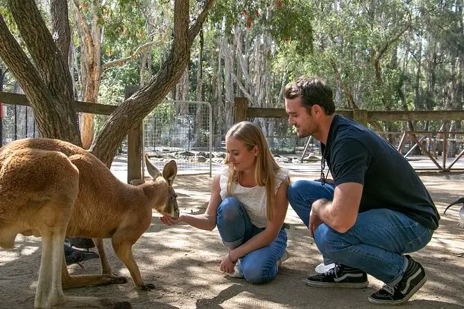 Currumbin Wildlife Sanctuary