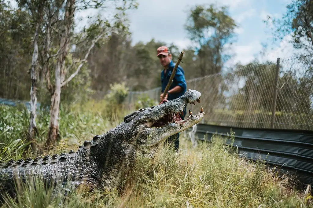 Top End Safari Camp Day Tour - Shoulder Season Special