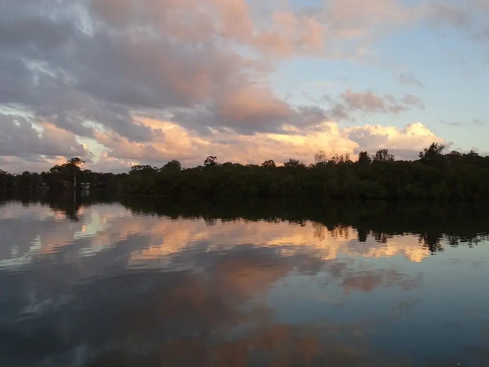 Sunset Eco Rainforest River Cruise