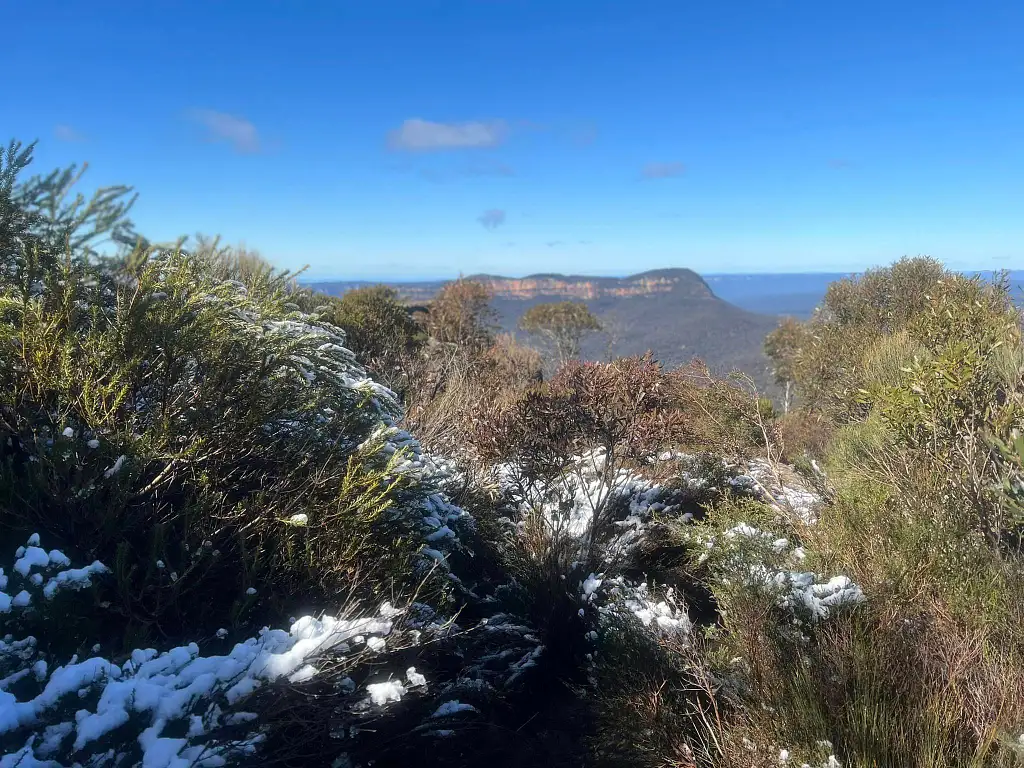 1 Day Guided Tour around the Blue Mountains