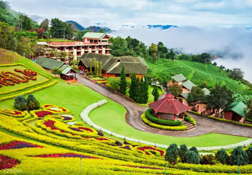 Royal Villa & Tea Terraces: Discovering Doi Tung & Doi Mae Salong | Full Day Private Tour