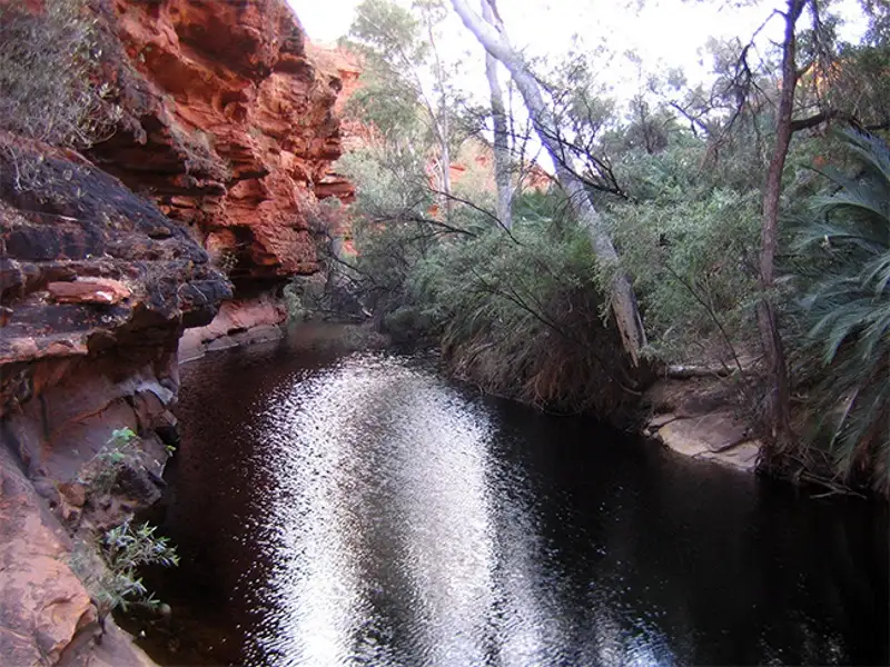 7D Darwin Rock to Top Adventure ex Alice Springs