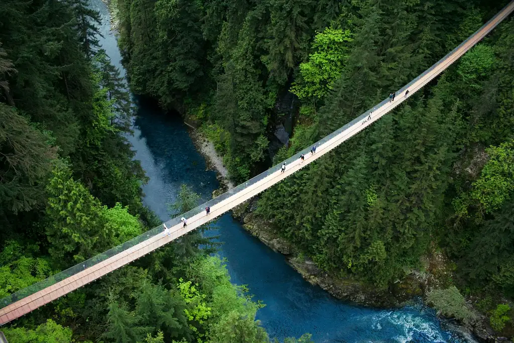 Capilano Suspension Bridge Park | General Admission