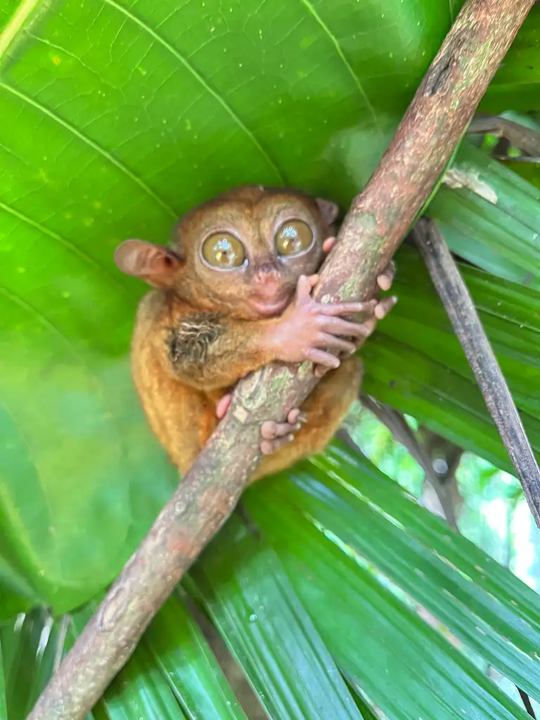 10 Day Philippines East Classic Cebu to Boracay Tour | One Life Adventures