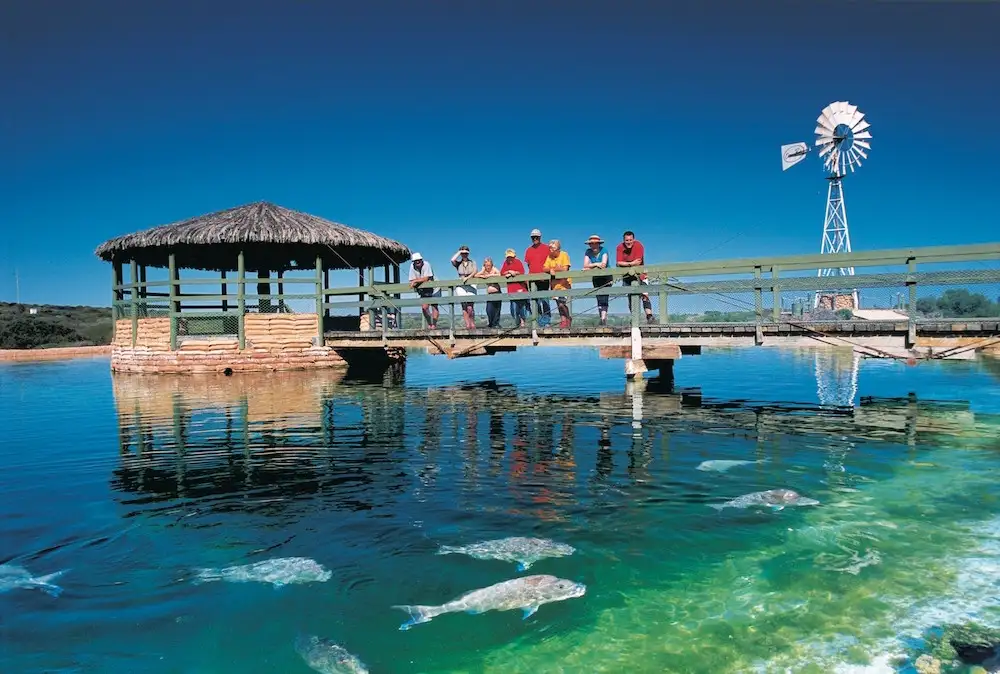 Perth to Monkey Mia Coastal Loop 4 Day Tour