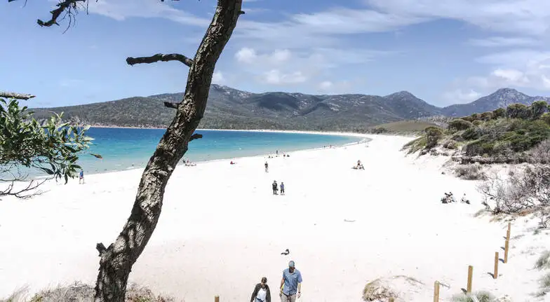 Wineglass Bay & Freycinet Day Tour from Hobart