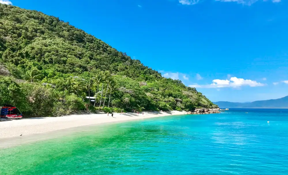Day at Fitzroy Island | Ferry Transfers Only