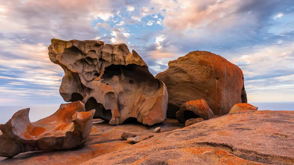 Kangaroo Island 2 Day Wildlife Adventure | Groovy Grape Adventures