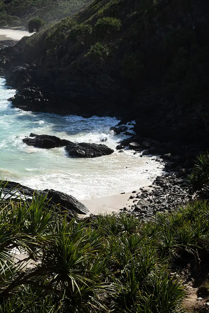 Broken Head Aboriginal Tour | Byron Bay